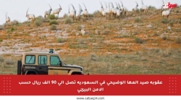 عقوبة صيد المها الوضيحي في السعودية تصل إلى 90 ألف ريال حسب الأمن البيئي